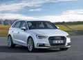 1646014-Audi-A3_Sportback_e-tron-2017-1600-01.jpg