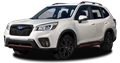 1639586-Subaru-Forester-2020-main.png