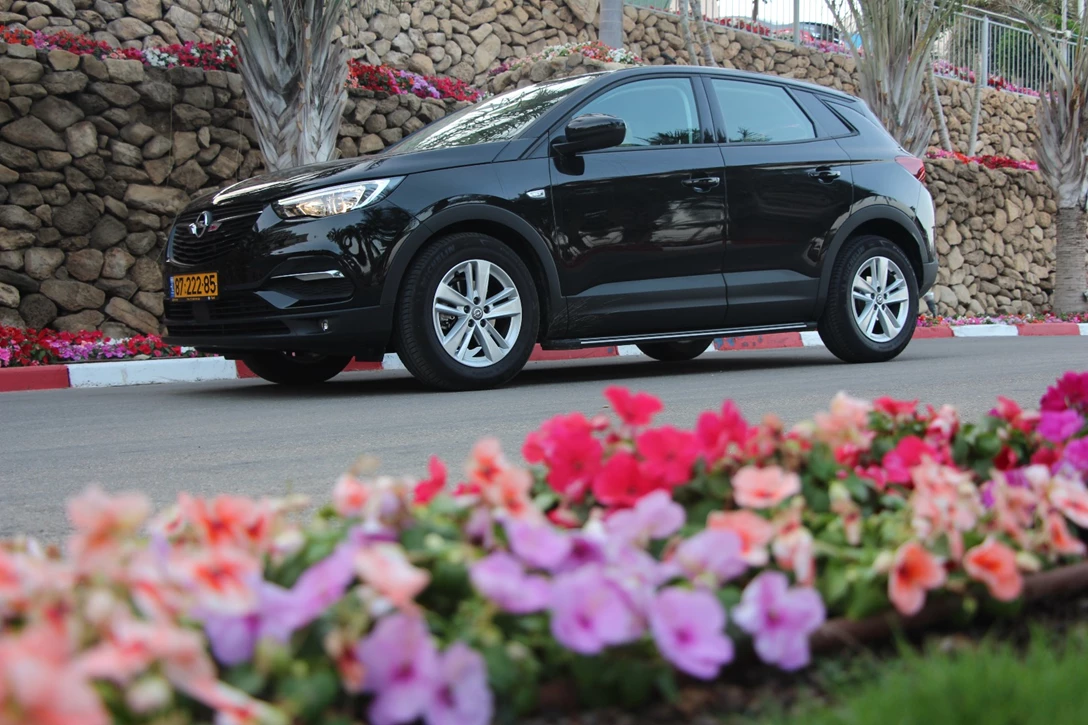 1593531-אופל גרנדלנד X (1).JPG