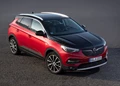 1638498-Opel-Grandland X-PHEV-08.jpg