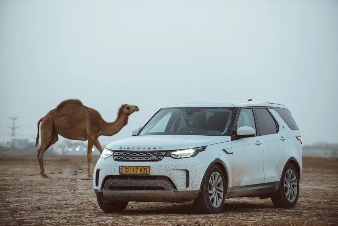 1604716-גרנד צירוקי מול דיסקו (68).jpg