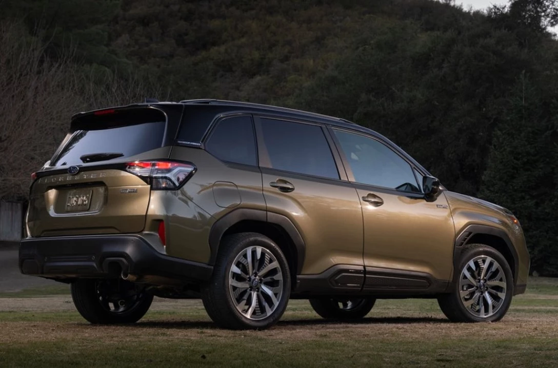 1706663-Screenshot 2025-02-09 071947.jpg