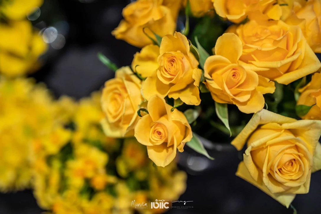 1630044-2020-02-10 AVIGDOR-108.jpg