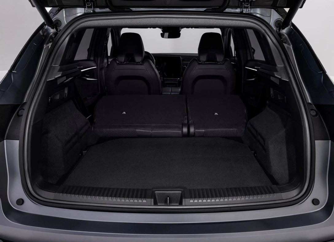 1704487-Renault-Austral-2024 (11).jpg