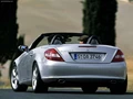 1593940-Mercedes-Benz-SLK350 2.jpg