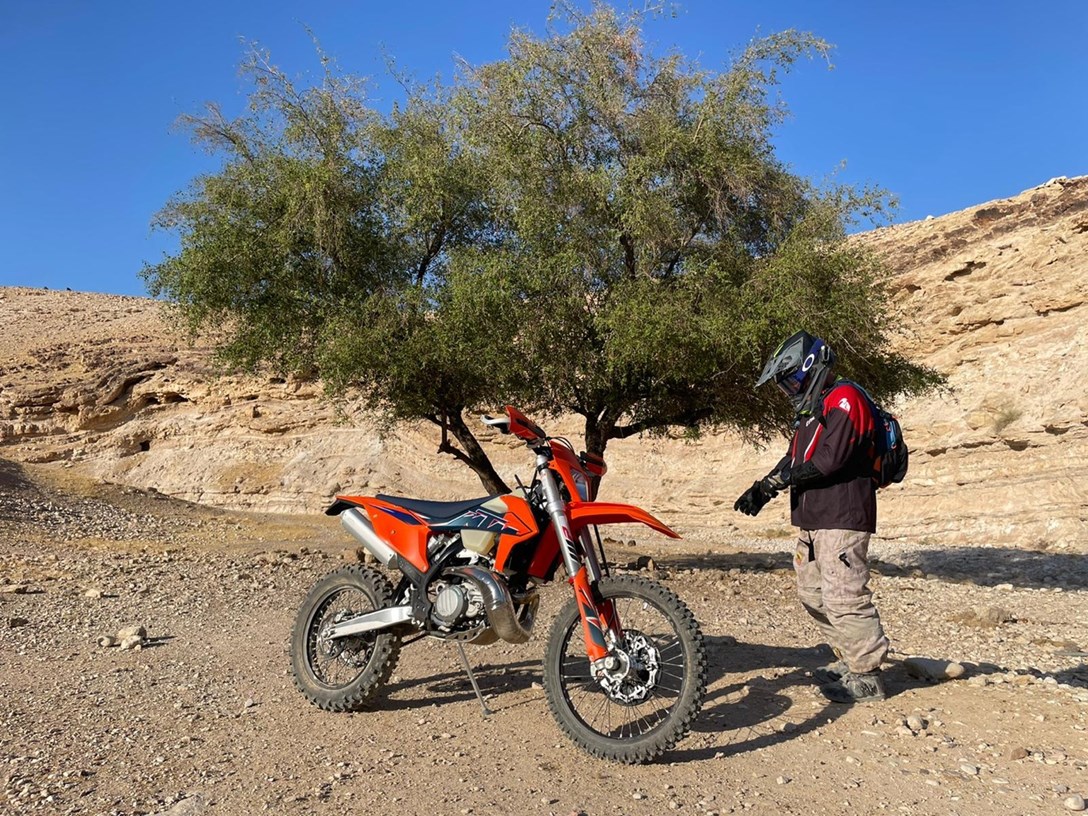 1649656-WhatsApp Image 2021-09-05 at 19.16.12 (1).jpeg