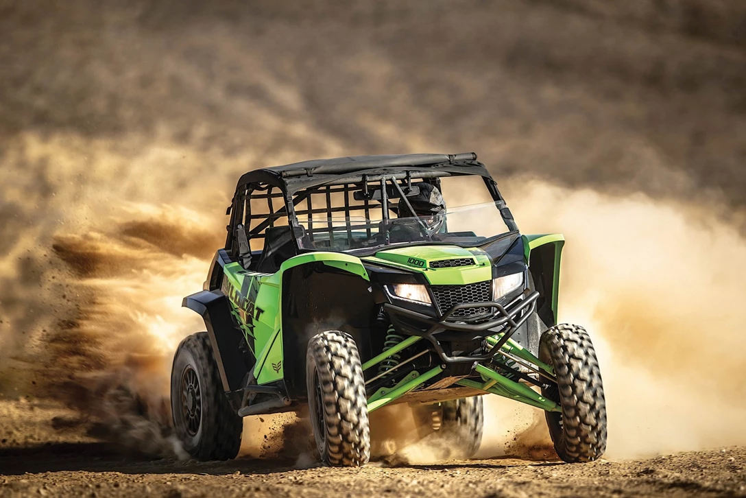 1600356-ווילדקאט XX (1).jpg