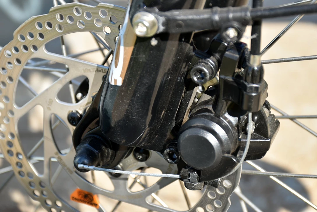 1590043-קוניג 008 (5).JPG