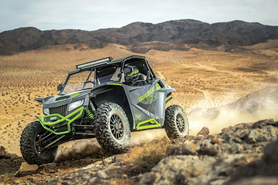 1600358-ווילדקאט XX (2).jpg