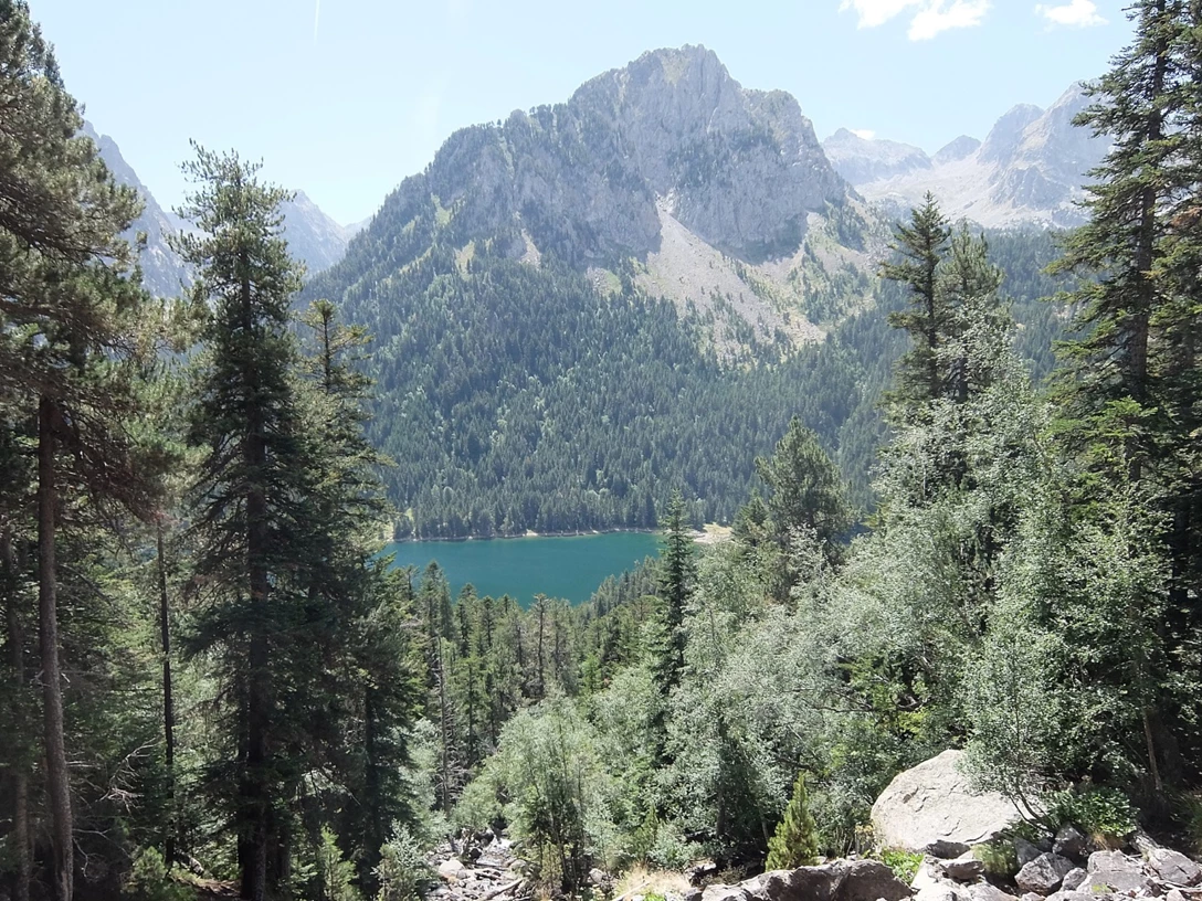 1691114-PIRINESE PIC CAM 4.JPG