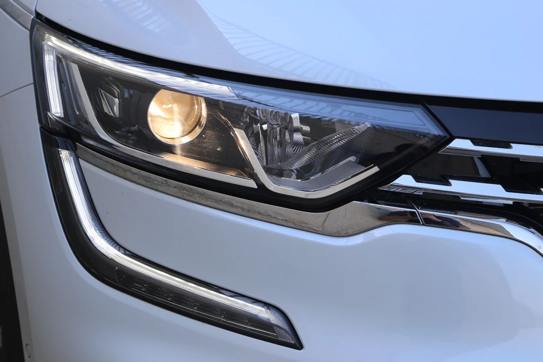 1631692-edit קוליאוס (9).JPG