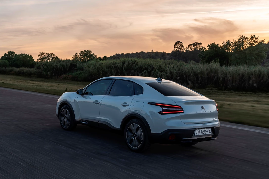 1662628-CL 22.012.005.jpg