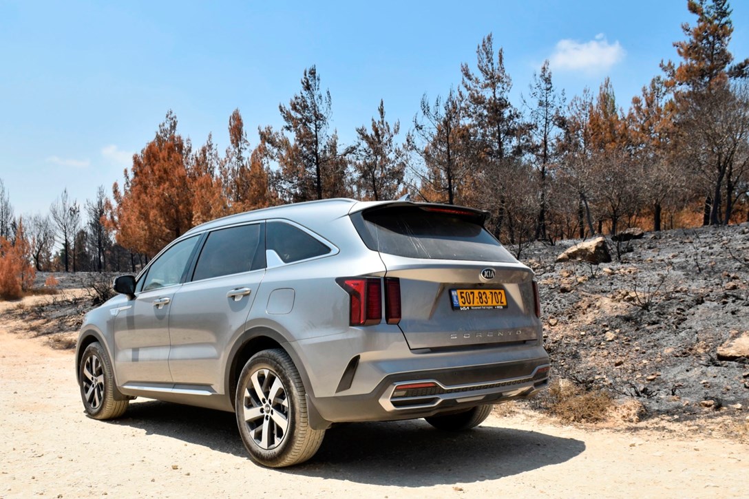 1651785-KIASORTO - 7.jpeg