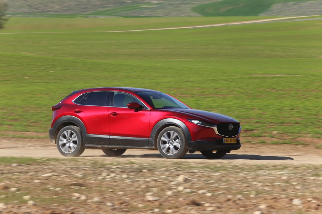 1629374-IMG_9181 - Copy.JPG