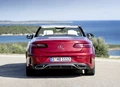 1660527-Mercedes-Benz-E-Class_Cabriolet-2022-03.jpg