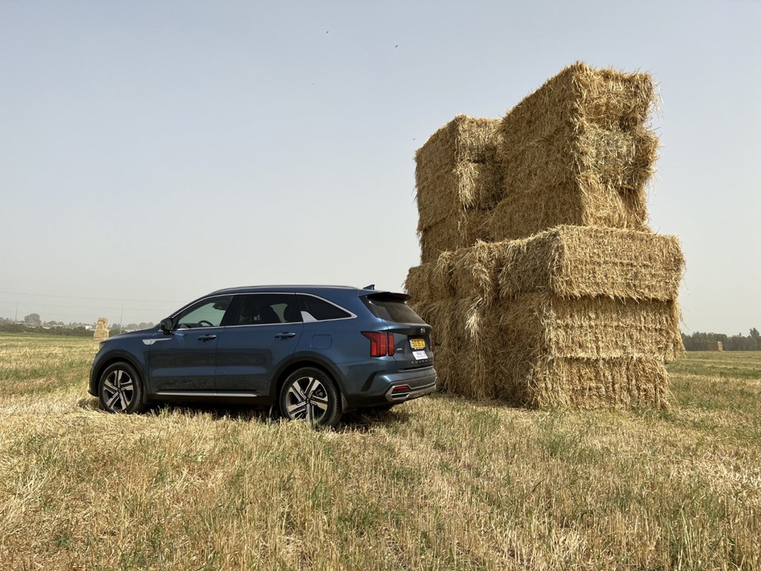 1662088-SORENTO - 14-min.jpeg