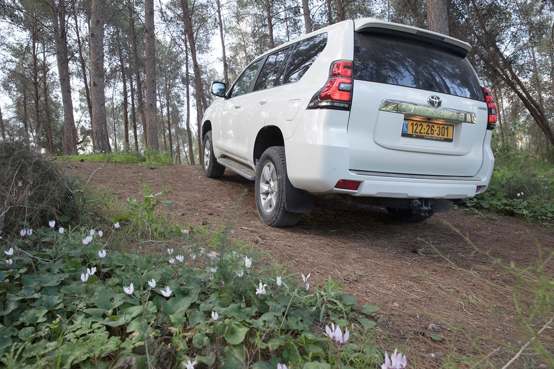 1596327-טויוטה לנד קרוזר 2018 (2).jpg