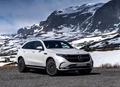 1650769-Mercedes-Benz-EQC-2020-1600-20.jpg