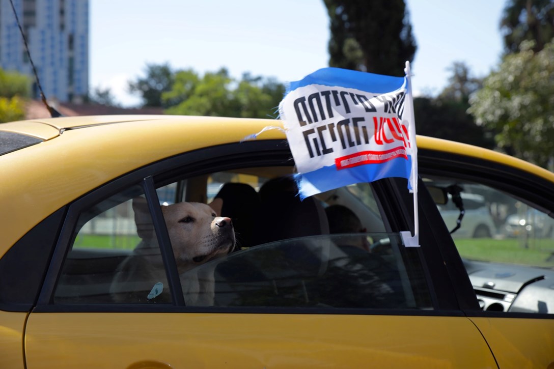 1702502-WhatsApp Image 2024-09-30 at 07.43.31 (2).jpeg