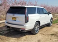 1695203-Cadillac-Escalade-2024-02-YS.jpg