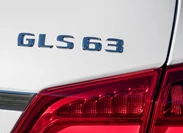 1669616-Mercedes-Benz-GLS-2017-13.jpg