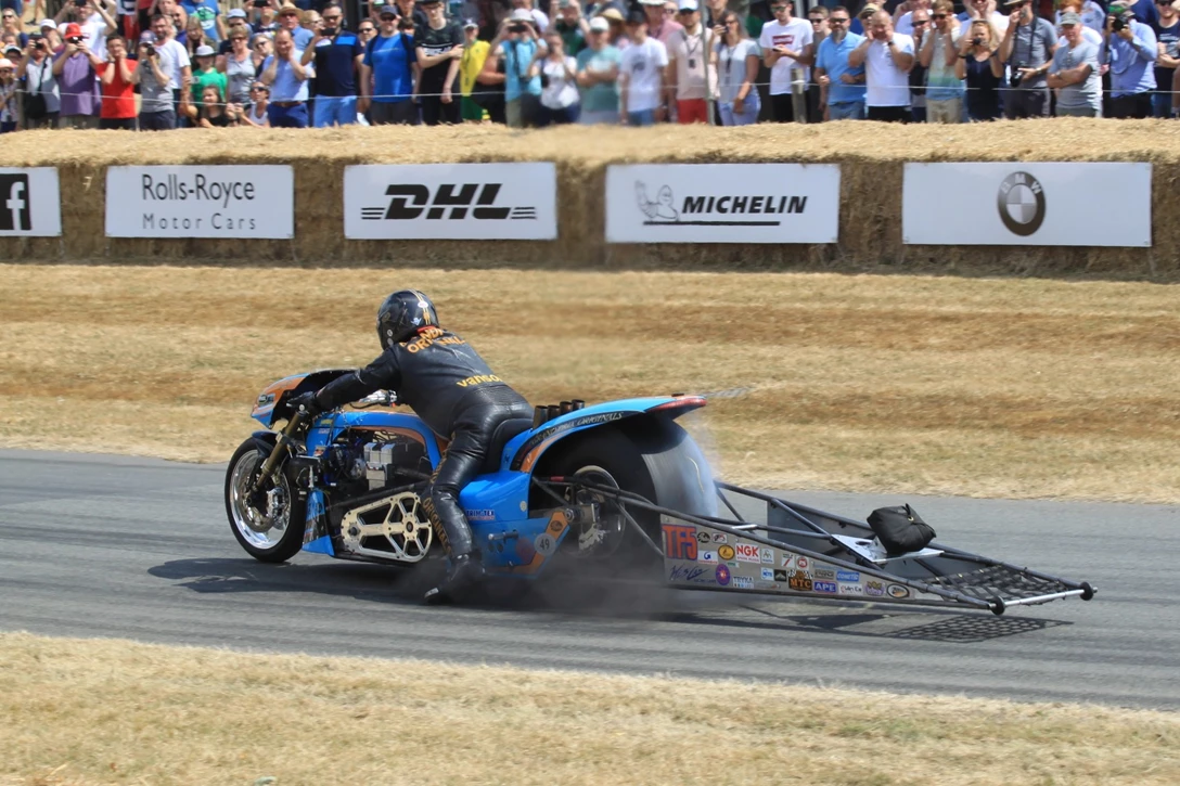 1602595-בינוני 1.JPG