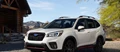 1653709-2019_subaru_forester_14_2560x1440.jpg