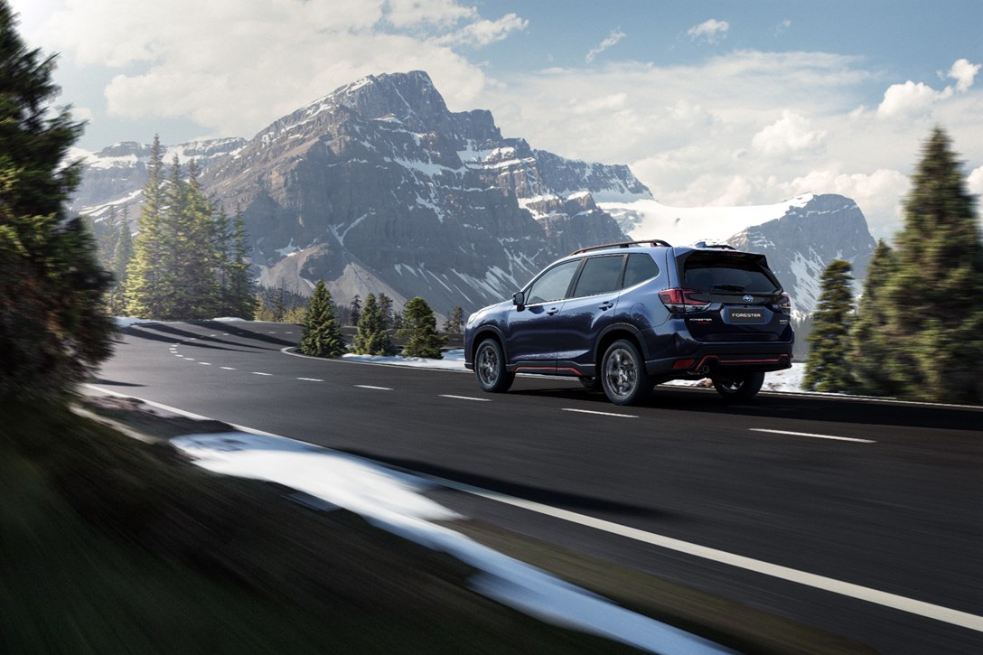 1657397-פורסטר - 1.jpeg