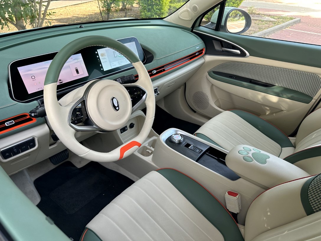 1681492-ORA300PRO1 - 9-min.jpeg