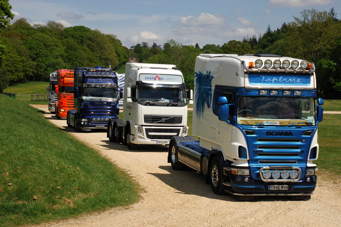 1592767-גריטה (1).jpg