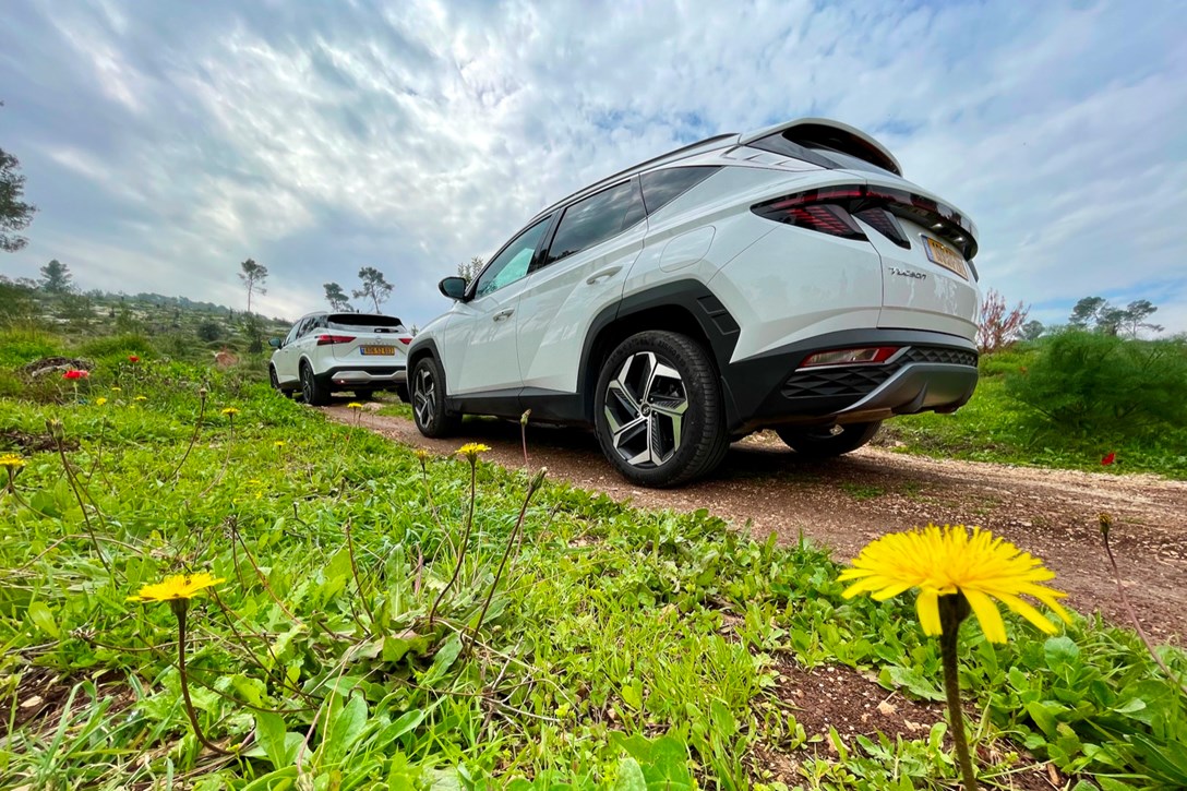 1659003-QASHTUSC - 16.jpeg