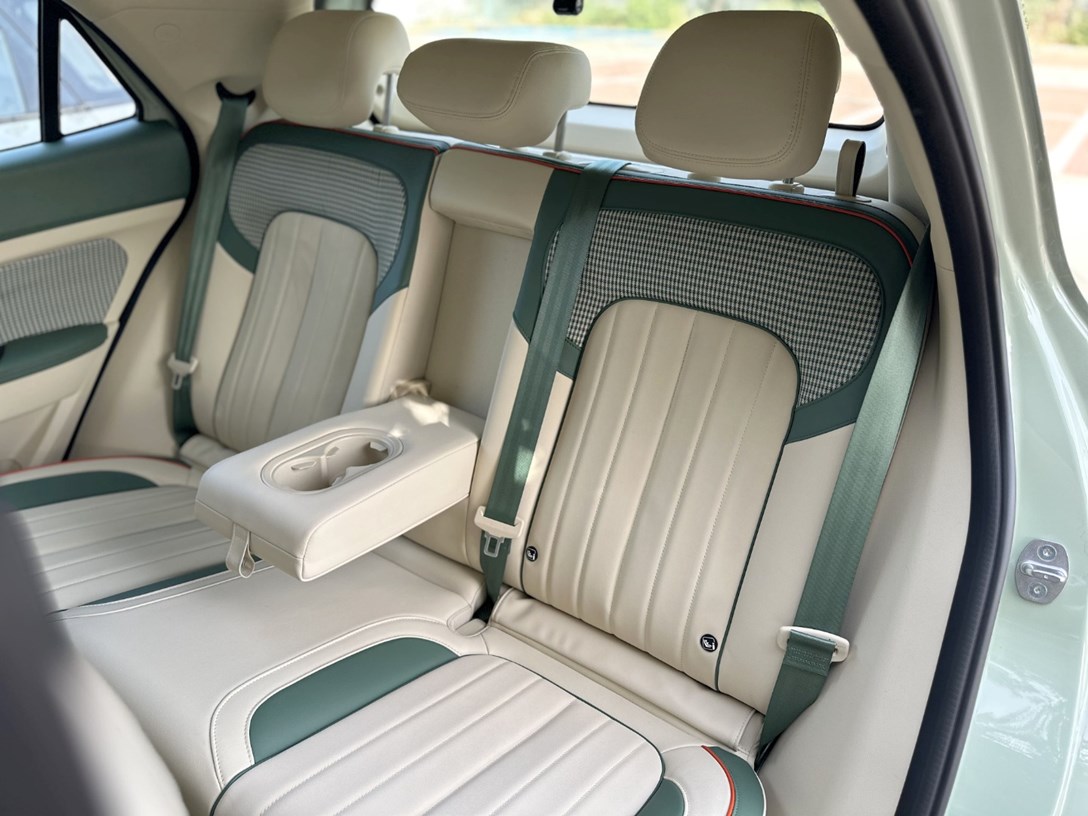 1681486-ORA300PRO1 - 31-min.jpeg