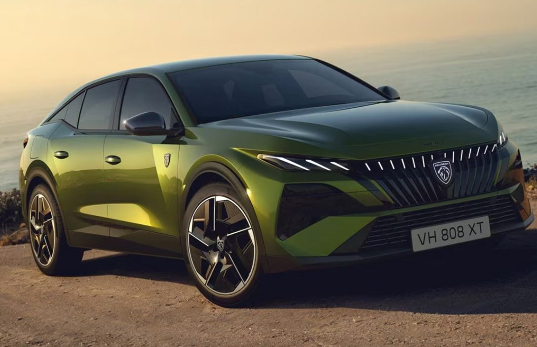 WhatsApp Image 2026-01-09 at 11.13.53 (1).jpeg