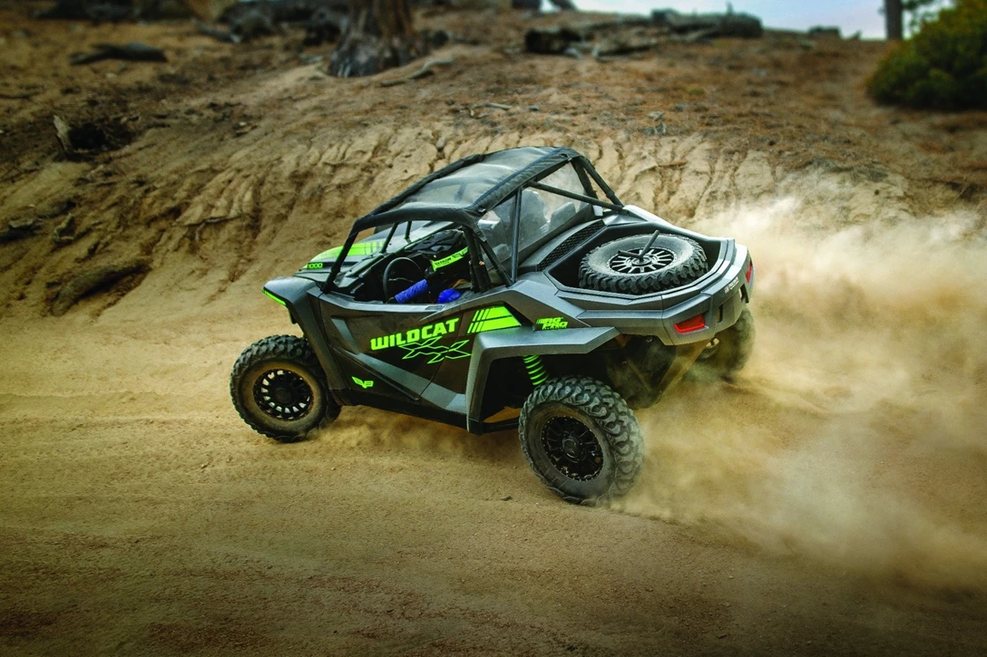 1600357-ווילדקאט XX (3).jpg