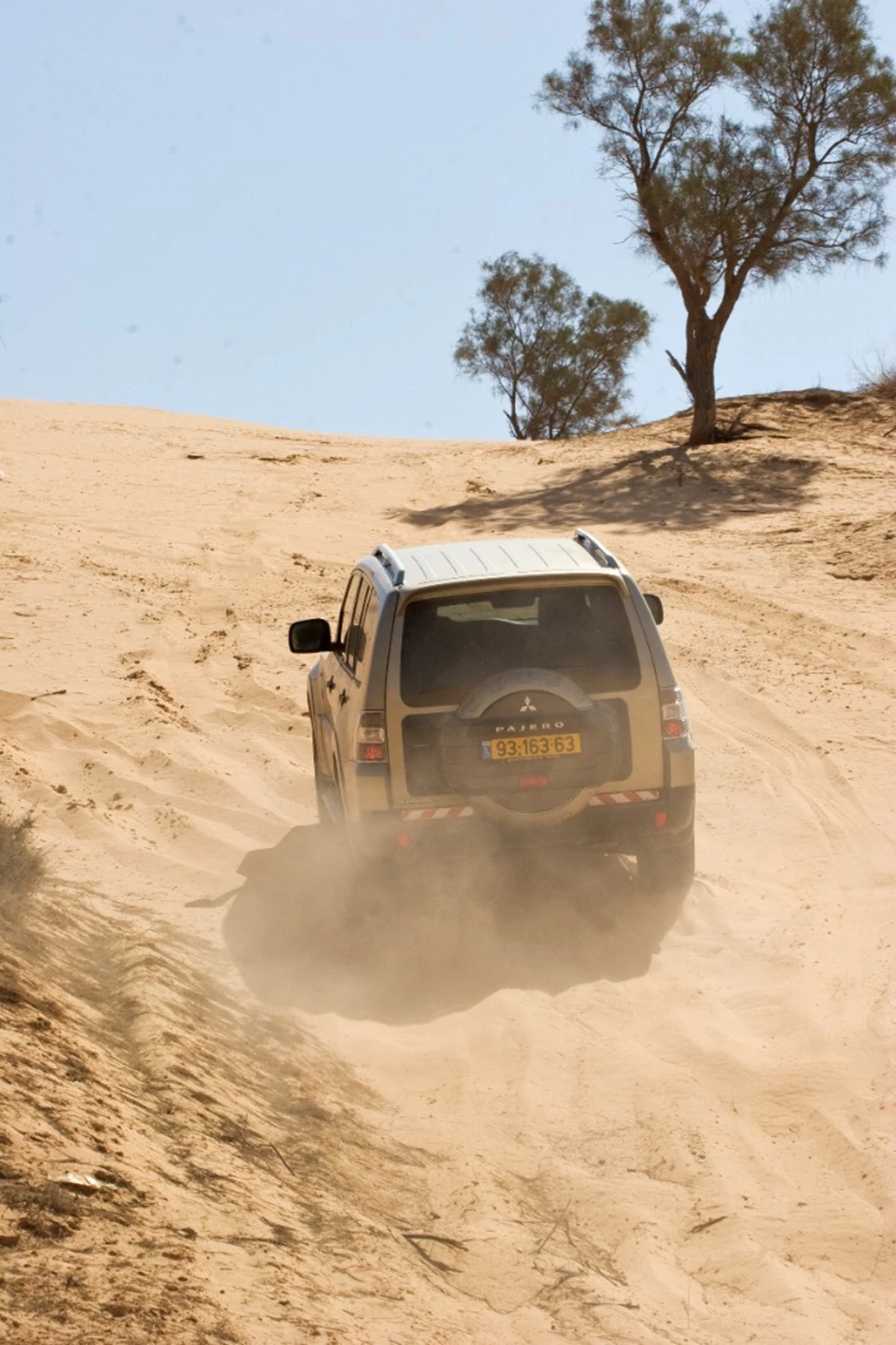 1676701-mashve big 03.jpg