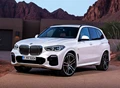 1613315-BMW-X5-2019-01.jpg