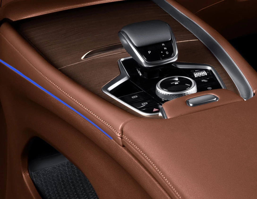 1700378-Central control lever.jpg