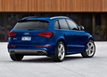 1649819-Audi-Q5-2016-11.jpg