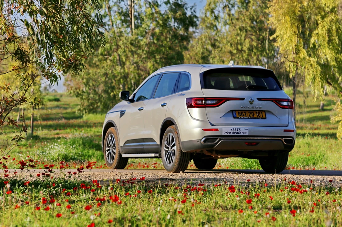 1631703-edit קוליאוס (24).JPG