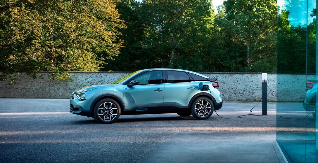 1633116-CL 20.019.003.jpg