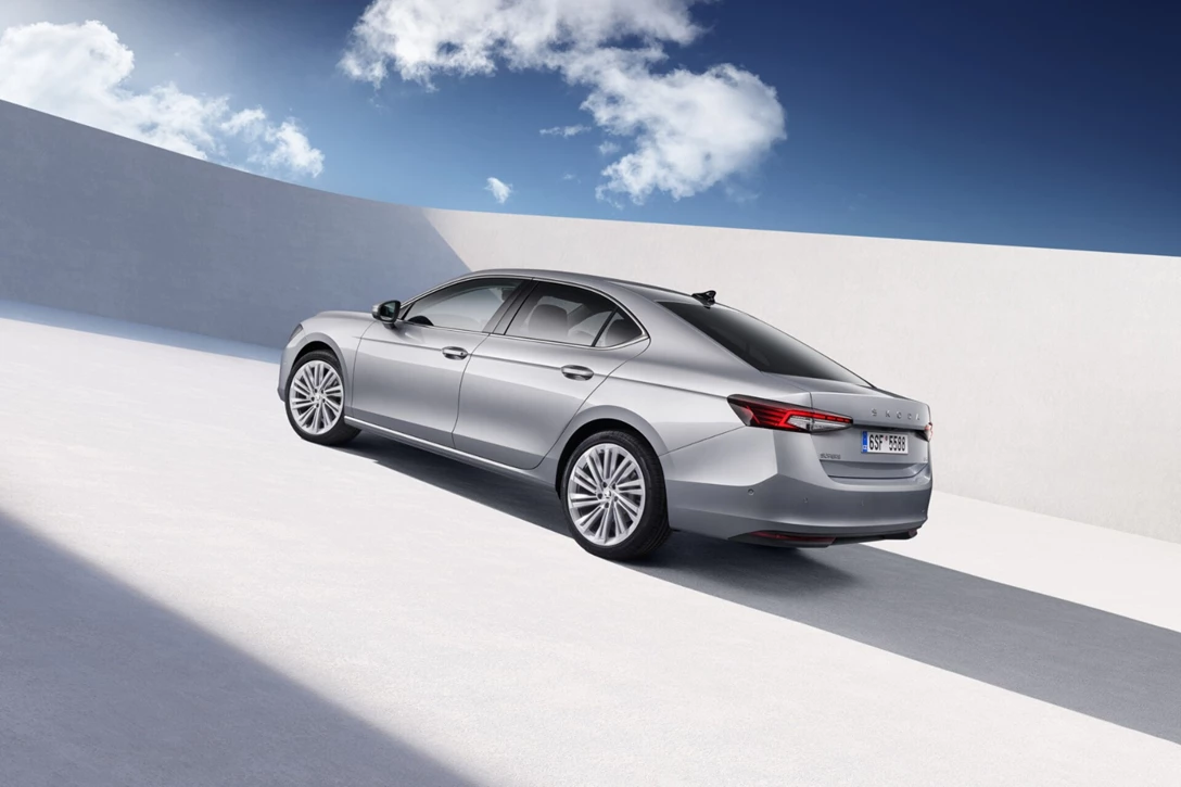 סופרג רגילה זווית אחורית