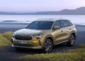 1700081-Skoda-Kodiaq-2024-04-NG.jpg