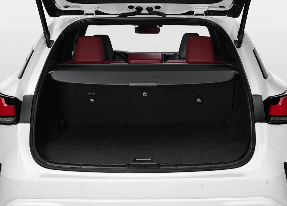 1708818-Lexus-RX-2025 (11).jpg
