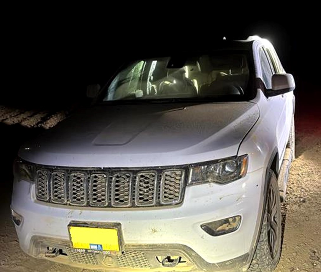 1710409-פוינטר 10.jpeg