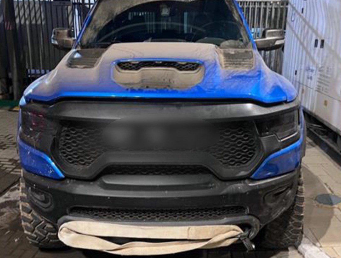 1710408-פוינטר 5.jpeg