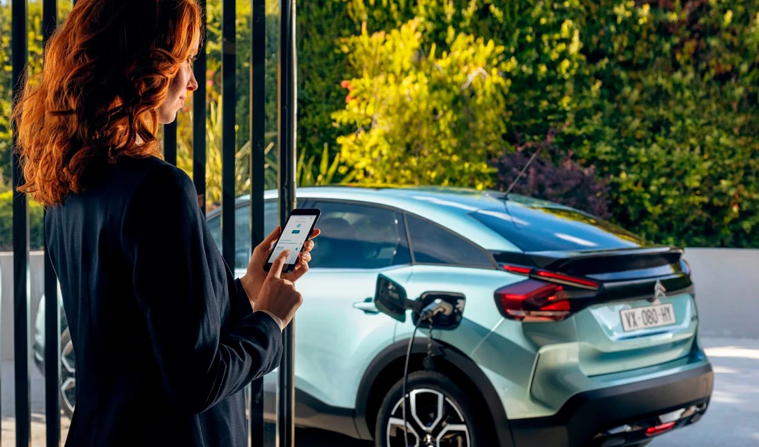 1633638-CL 20.026.019.jpg