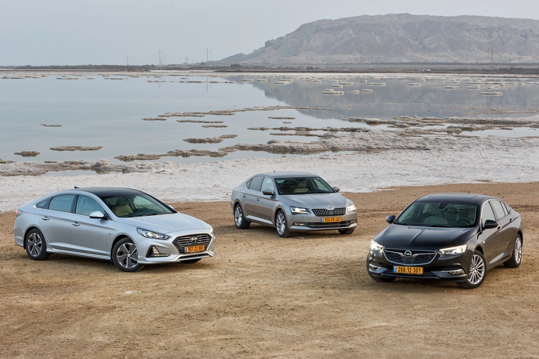 1609600-פותח גדולות.JPG