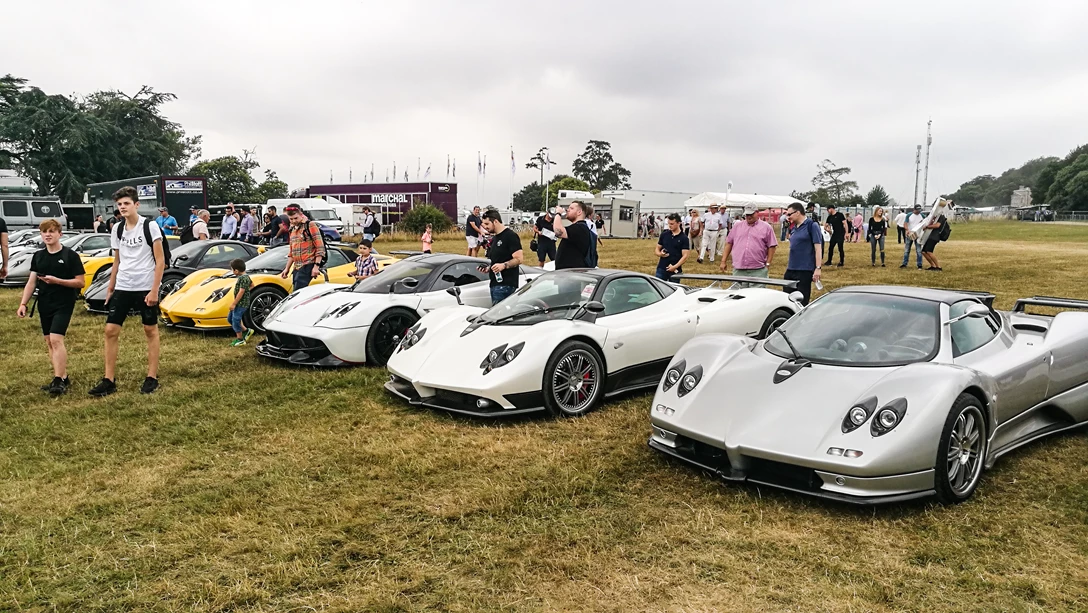 1602603-בינוני 7.png