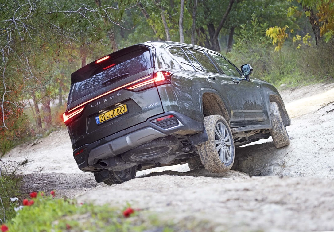 1679529-2J8A2635 copy-min.jpg