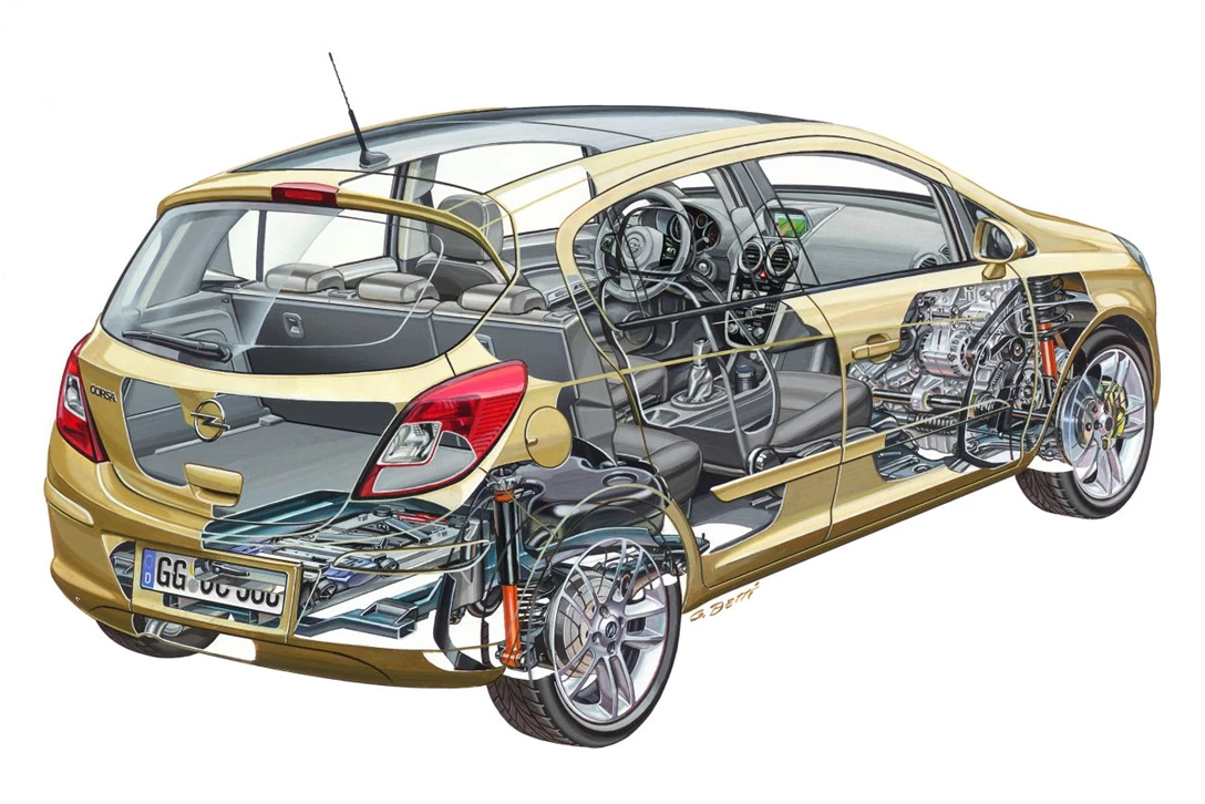 אופל קורסה - חתך